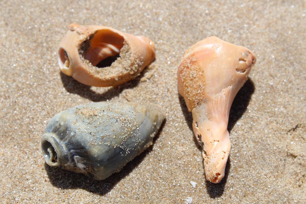 Miralejos Complejo De Apartamentos Punta Del Diablo 외부 사진